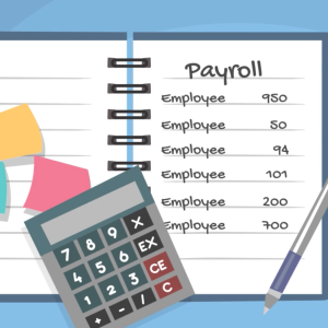 Employees set up fpr payroll
